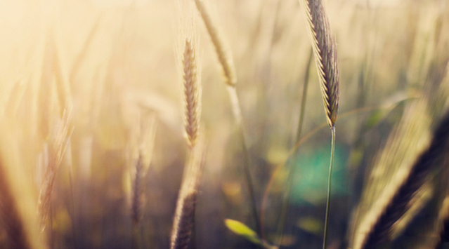 交互设计师存在的价值