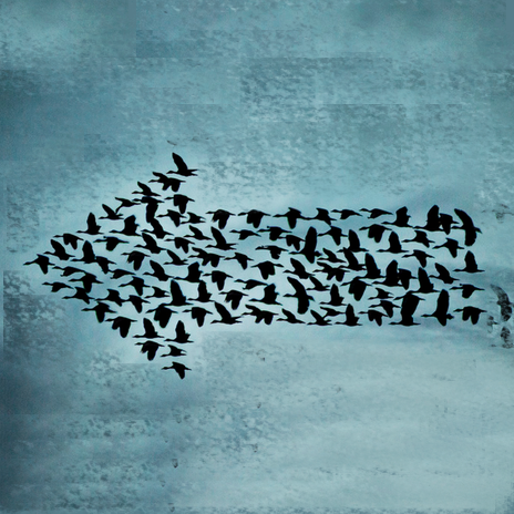 回到过去:8位成功创业者希望年轻的自己能领悟的道理