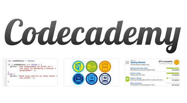 三款热门在线编程教程网站对比