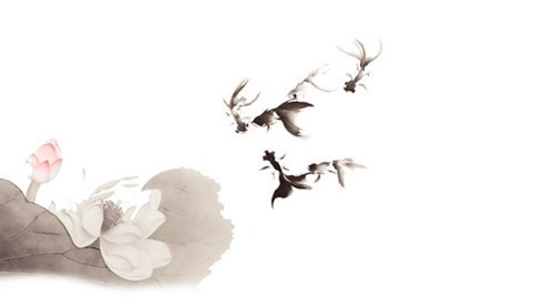 重视留白,给设计一个呼吸