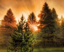 取色指南!7款靠谱工具帮你选取完美配色