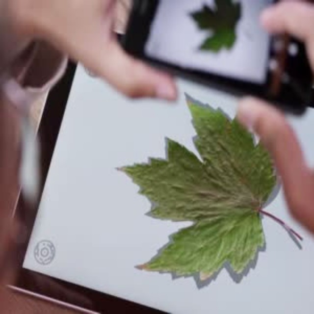 未来的设计师这样工作!也是醉了