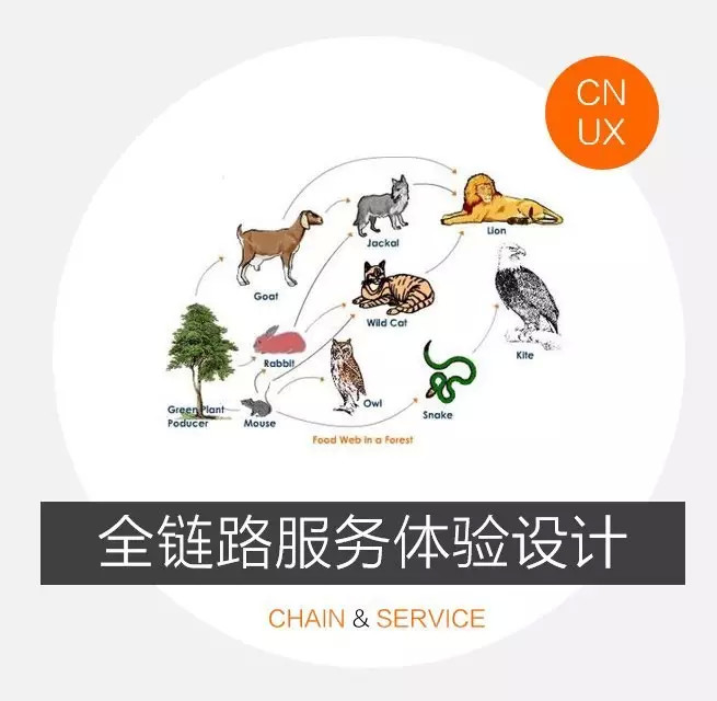 挖掘产品痛点，揉入服务设计思维