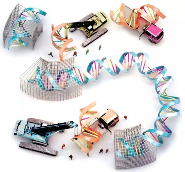 理念的细节设计，化理念为产品，最终化为服务