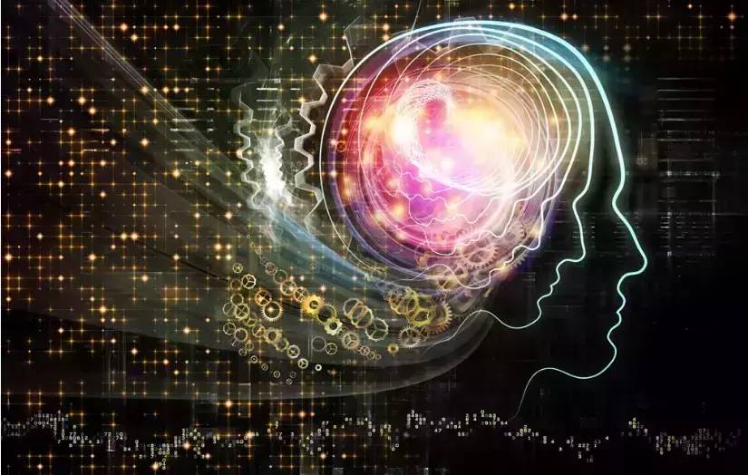 干货分享 | 大卫·凯利和他公司不为人知的故事