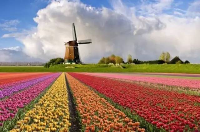 中国行业代表团，相约荷兰对话国际！你来吗？