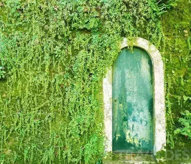 【设计】世界26扇拥有令人惊叹美丽的门