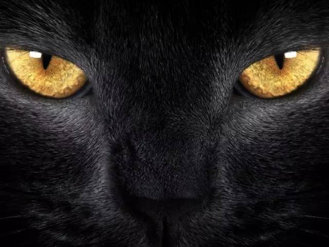 巧用交互设计中的暗黑模式