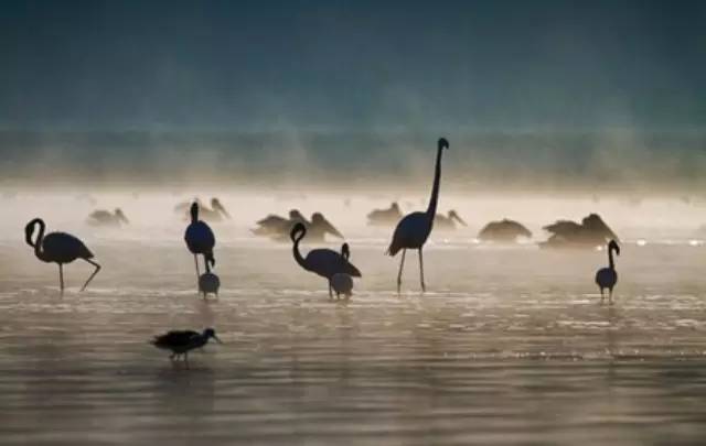 收藏！六大免费精美无版权图片网站