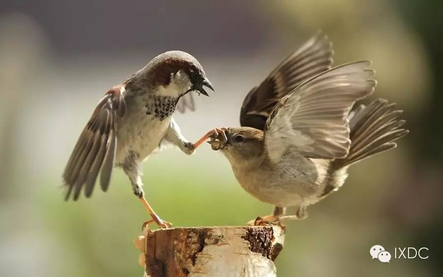 好的设计师必须是个战士,因为妥协的设计不是好设计